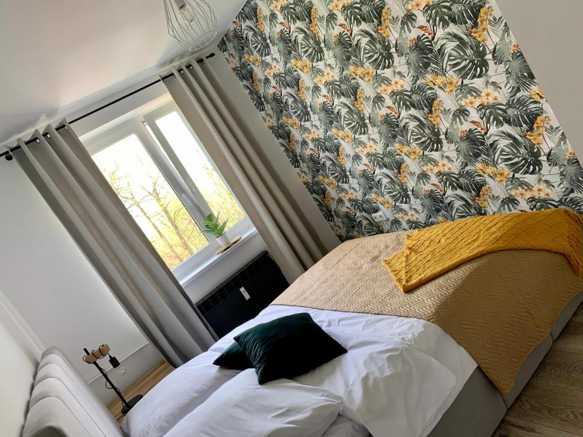 Apartament Forest Green Świeradów-Zdrój Kültér fotó