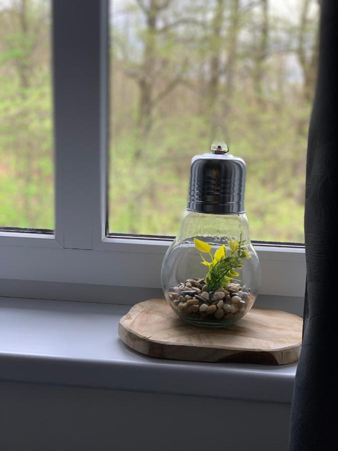 Apartament Forest Green Świeradów-Zdrój Kültér fotó