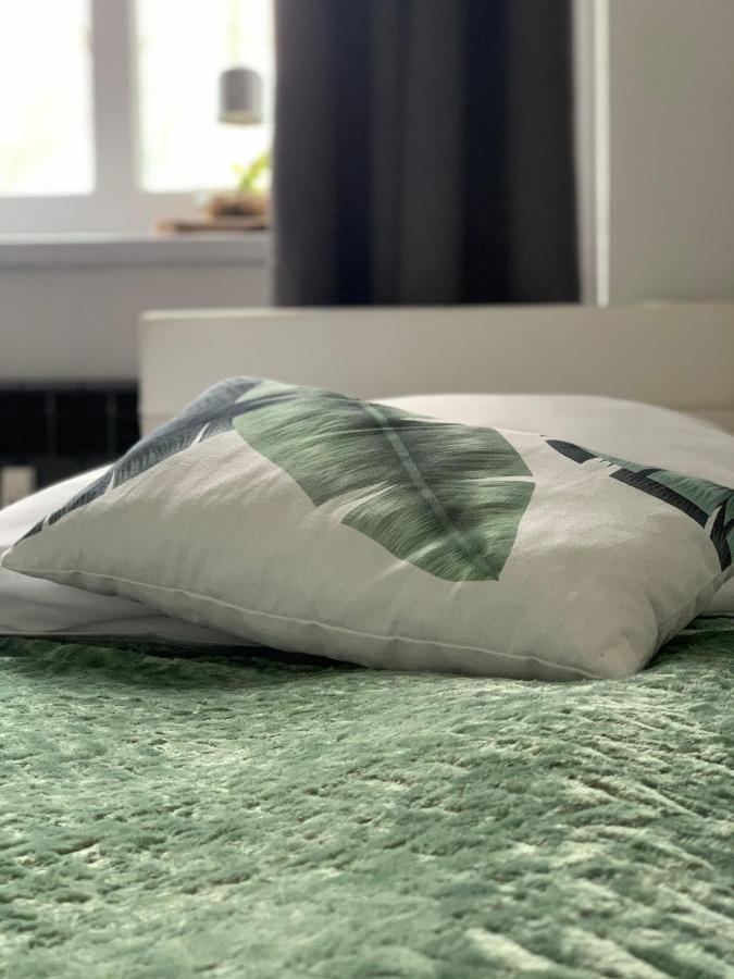 Apartament Forest Green Świeradów-Zdrój Kültér fotó