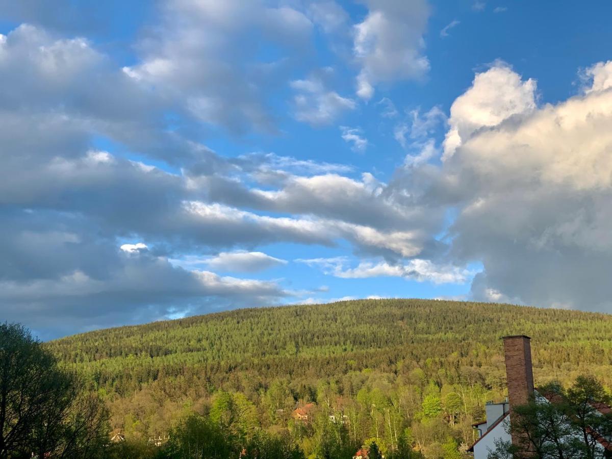 Apartament Forest Green Świeradów-Zdrój Kültér fotó